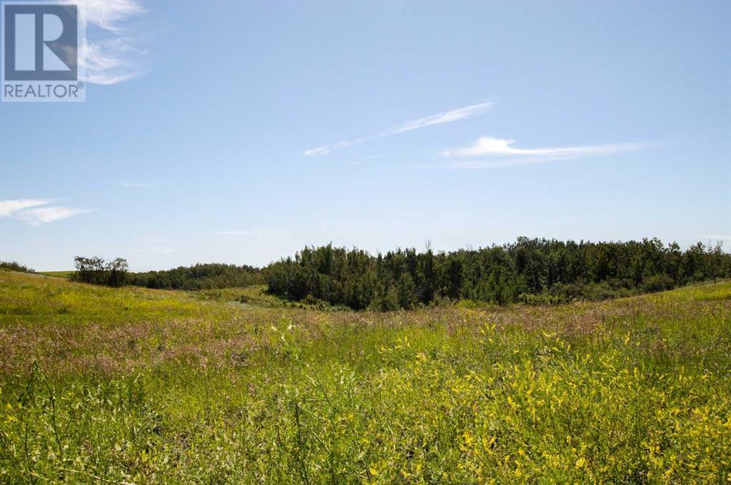 On Rr 20-4, County Of, Alberta  T0C 2L0 - Photo 46 - A2107831