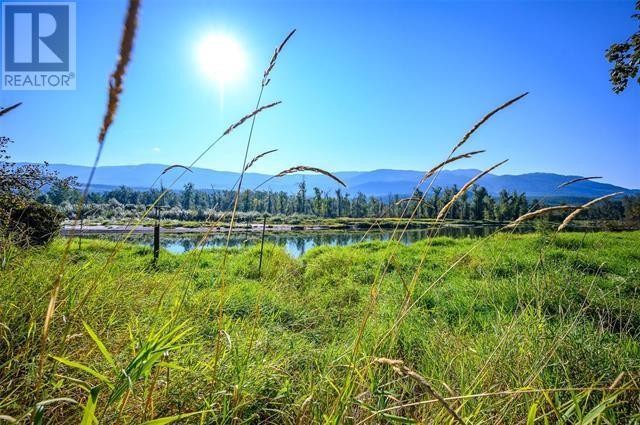 1660 Enderby Mabel Lake Road, Enderby, British Columbia  V0E 1V5 - Photo 8 - 10303152