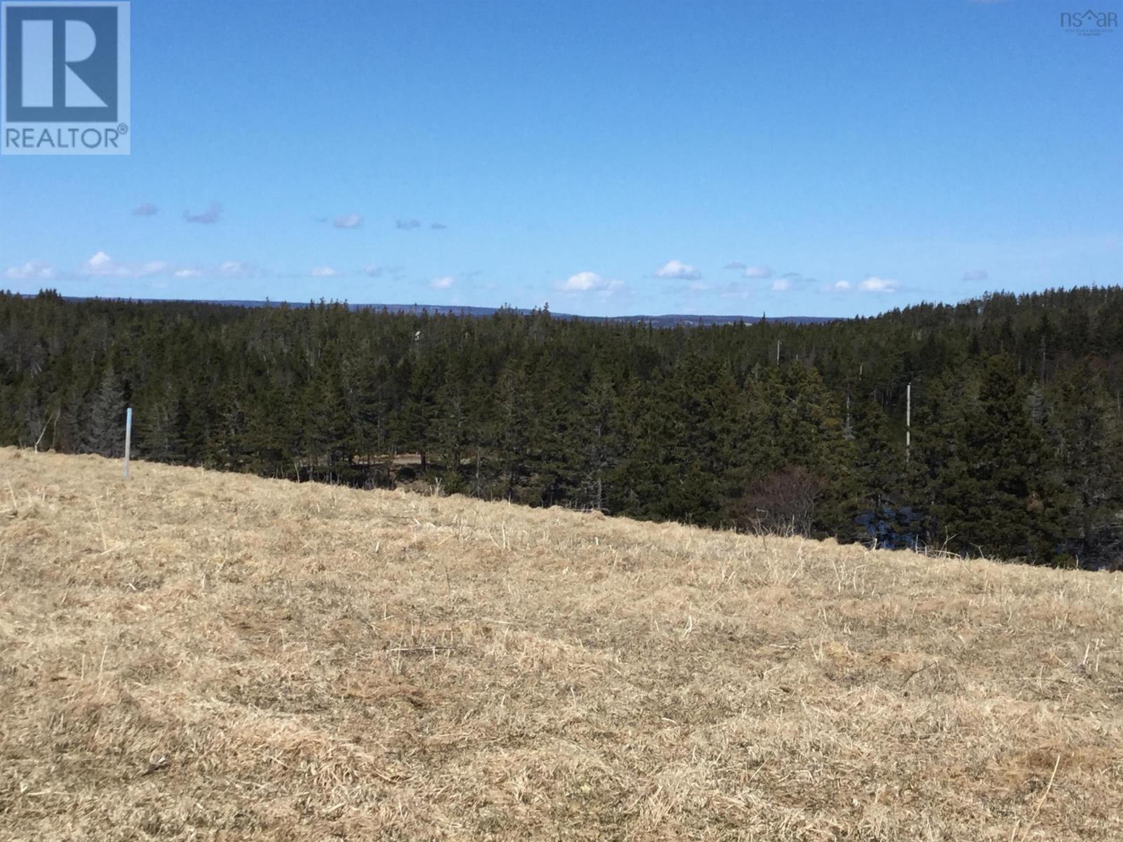 Mauger Road, Cap La Ronde, Nova Scotia  B0E 1A0 - Photo 11 - 202402833