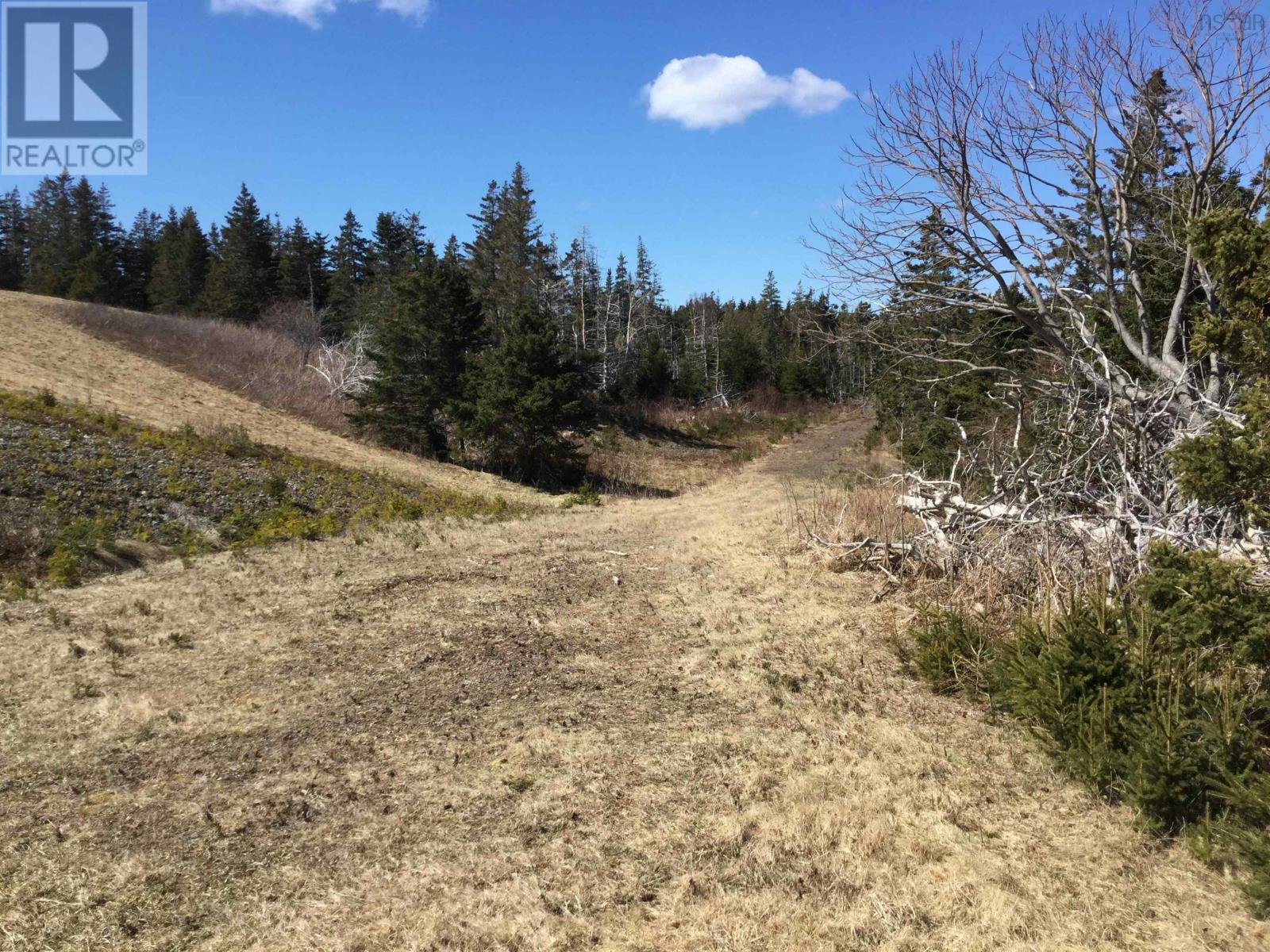 Mauger Road, Cap La Ronde, Nova Scotia  B0E 1A0 - Photo 19 - 202402833