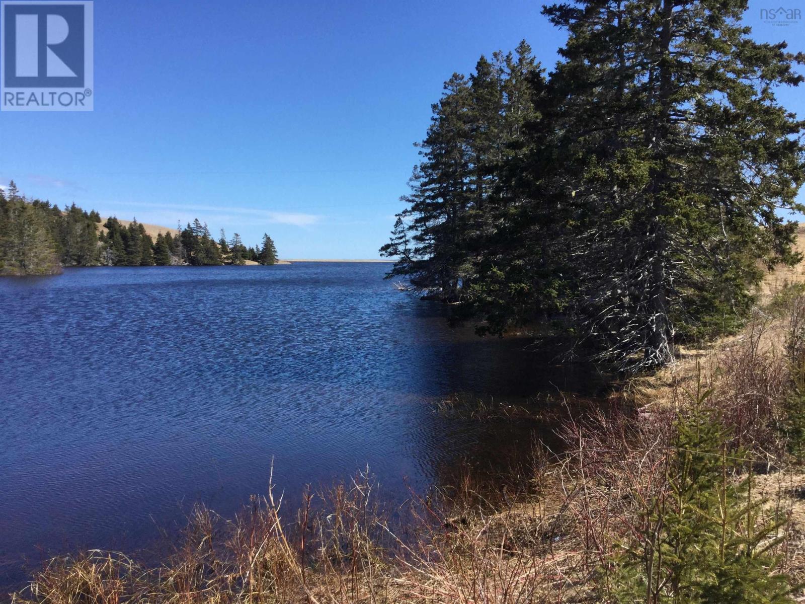 Mauger Road, Cap La Ronde, Nova Scotia  B0E 1A0 - Photo 3 - 202402833