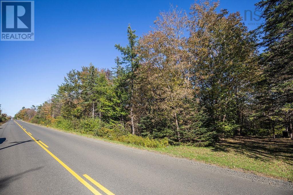 Lot Ridge Road, Hillgrove, Nova Scotia  B0V 1A0 - Photo 1 - 202402839