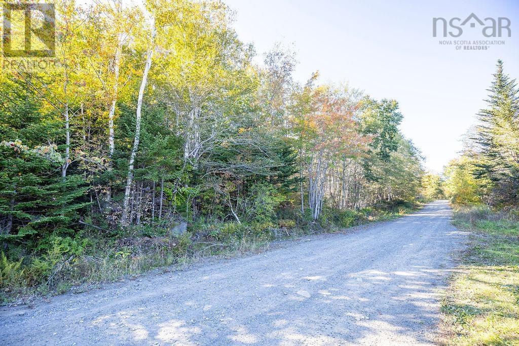 Lot Ridge Road, Hillgrove, Nova Scotia  B0V 1A0 - Photo 2 - 202402839