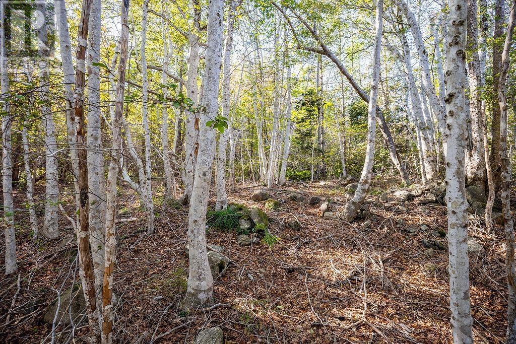 Lot Ridge Road, Hillgrove, Nova Scotia  B0V 1A0 - Photo 3 - 202402839
