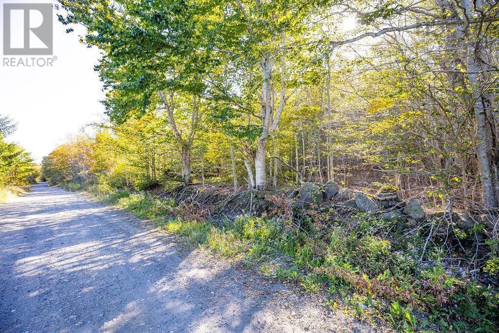 Lot Ridge Road, Hillgrove, Nova Scotia  B0V 1A0 - Photo 5 - 202402839