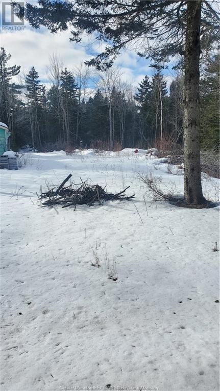 1199 Pine Glen Rd, Pine Glen, New Brunswick  E1J 1R1 - Photo 3 - M157445