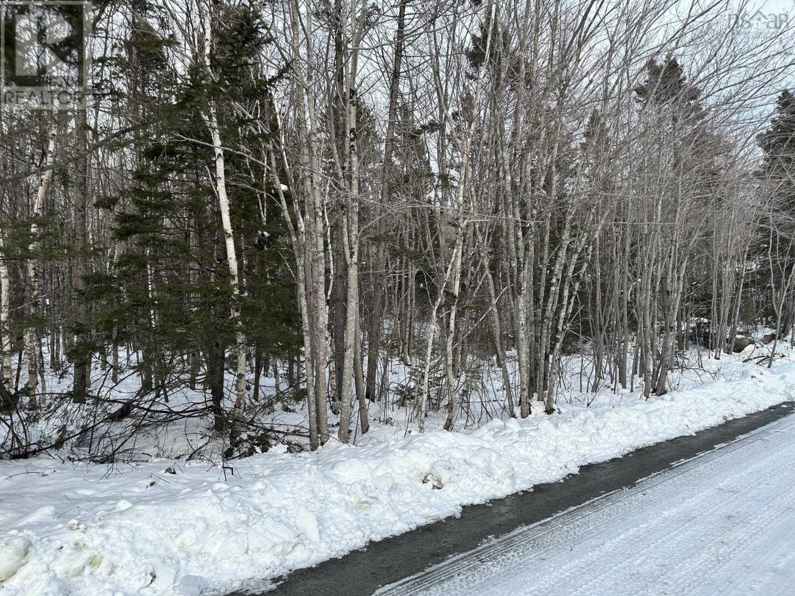 Lot 3016-A Five Rivers Drive, White Point, Nova Scotia  B0T 1K0 - Photo 2 - 202402848