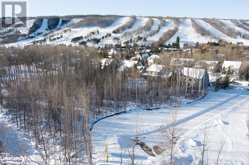 Lot 6 Mcqueen Court, The Blue Mountains, Ontario  L9Y 0S2 - Photo 3 - 40541262