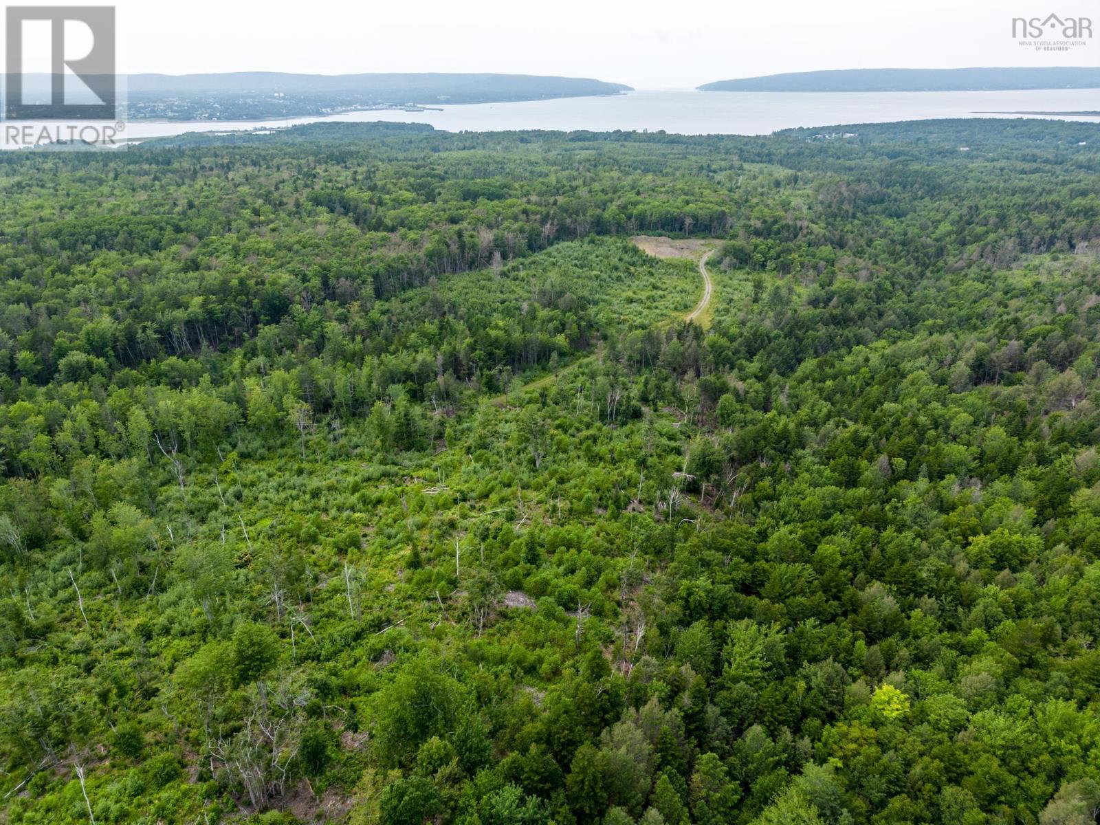 Lot 1 Back Road, Lansdowne, Nova Scotia  B0V 1A0 - Photo 2 - 202402855