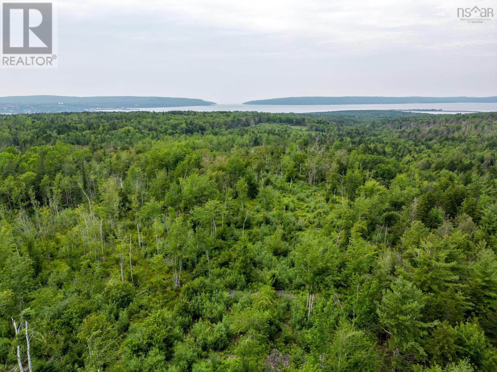 Lot 3 Back Road, Lansdowne, Nova Scotia  B0V 1A0 - Photo 7 - 202402860