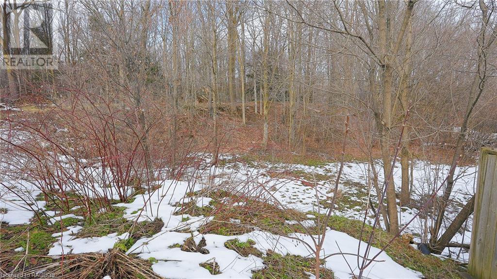 740 20th Street W, Owen Sound, Ontario  N4K 4E2 - Photo 5 - 40538183