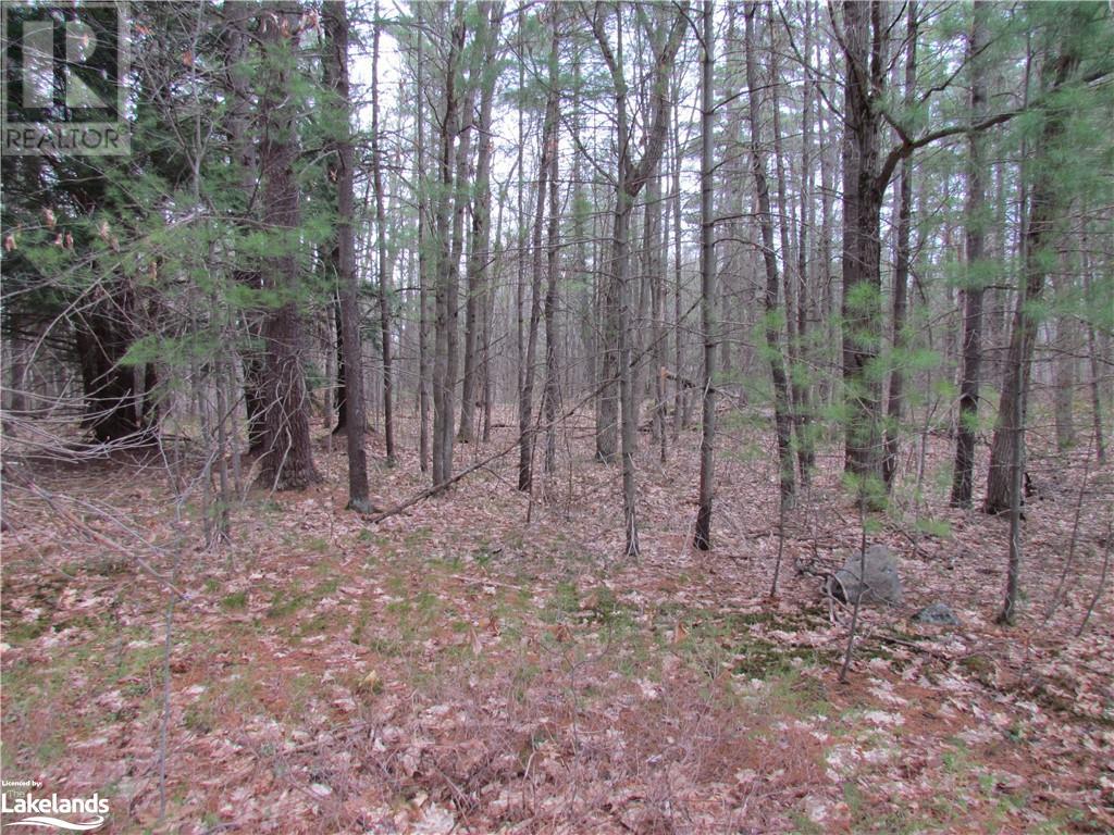 0 Muskoka Road 169, Gravenhurst, Ontario  P1P 1R1 - Photo 4 - 40542081