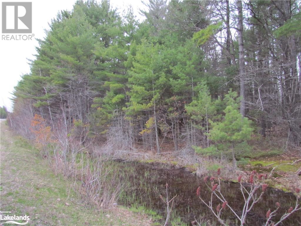 0 Muskoka Road 169, Gravenhurst, Ontario  P1P 1R1 - Photo 5 - 40542081