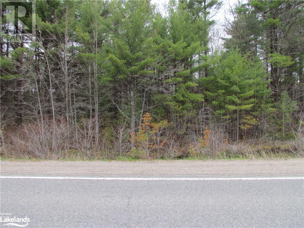 0 Muskoka Road 169, Gravenhurst, Ontario  P1P 1R1 - Photo 7 - 40542081