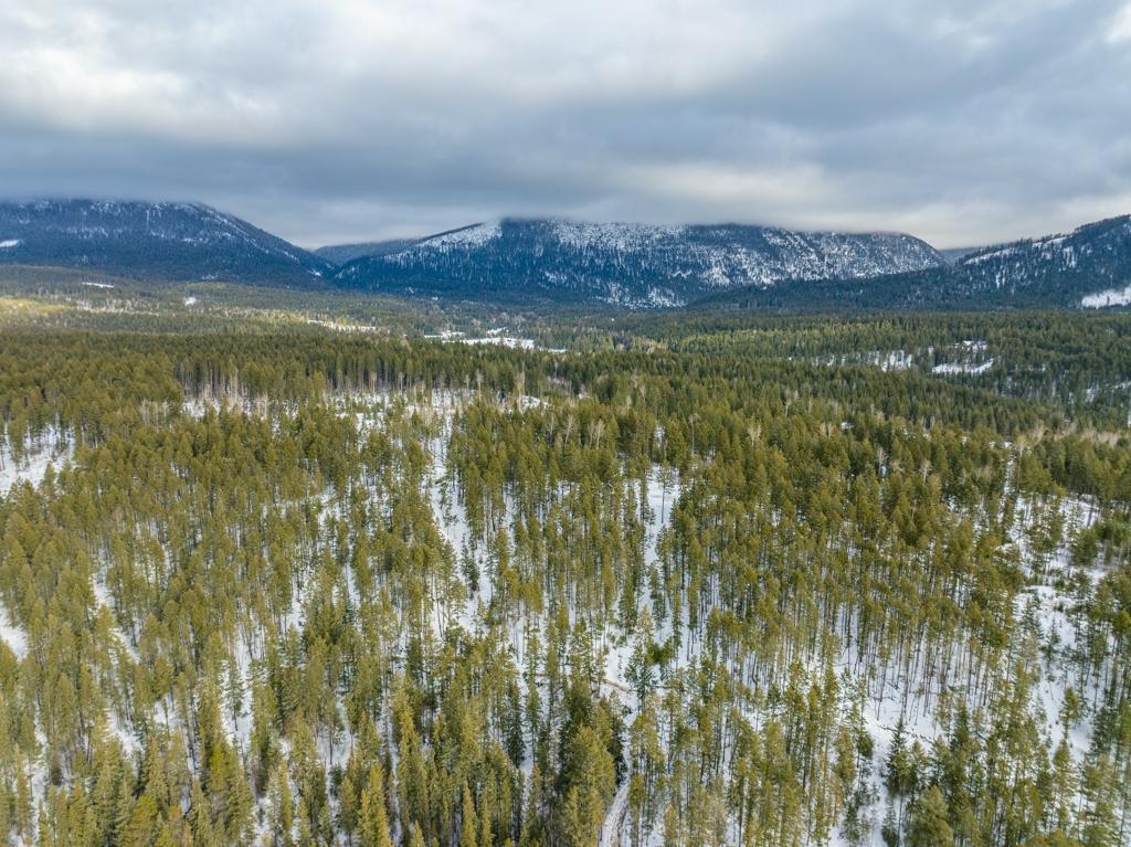 Ls-14 Ottoson Road, Golden, British Columbia  V0A 1H1 - Photo 11 - 2474986