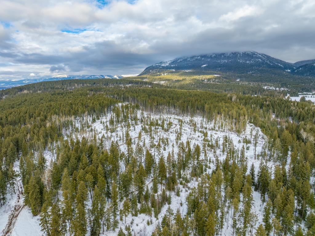 Ls-14 Ottoson Road, Golden, British Columbia  V0A 1H1 - Photo 19 - 2474986