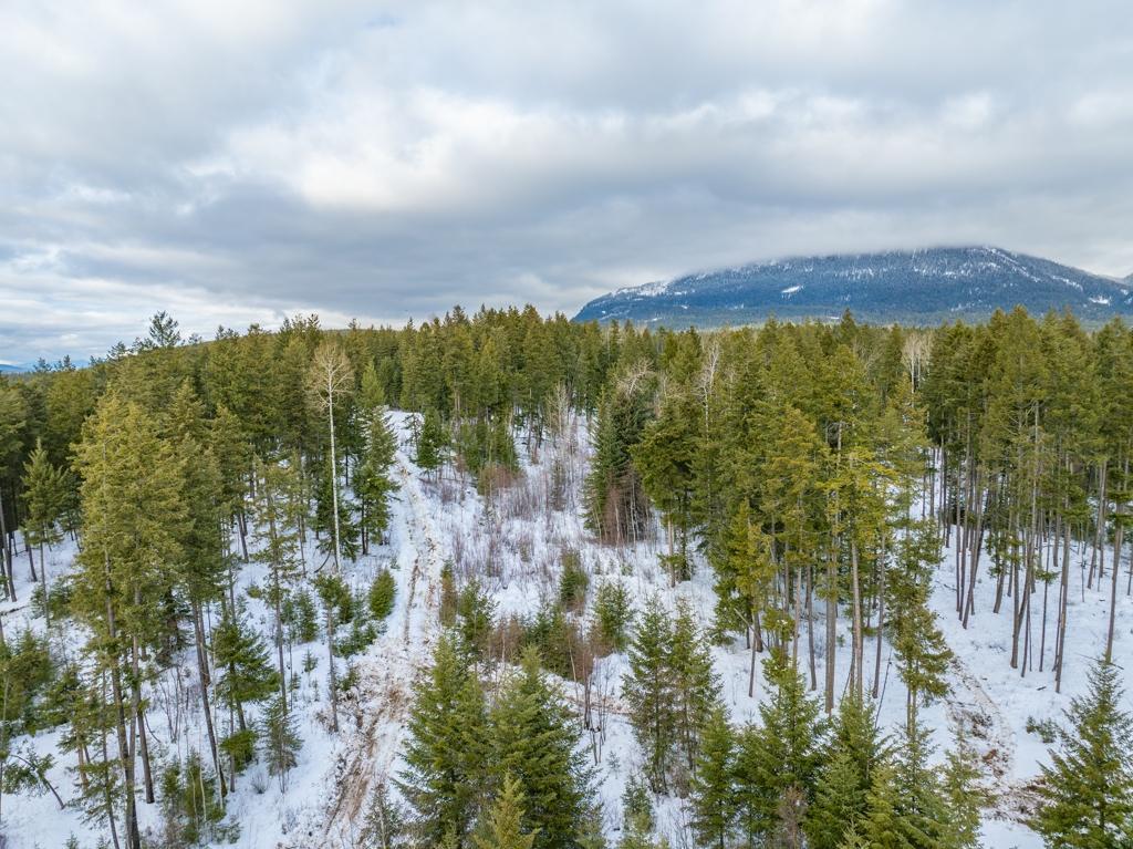 Ls-14 Ottoson Road, Golden, British Columbia  V0A 1H1 - Photo 6 - 2474986