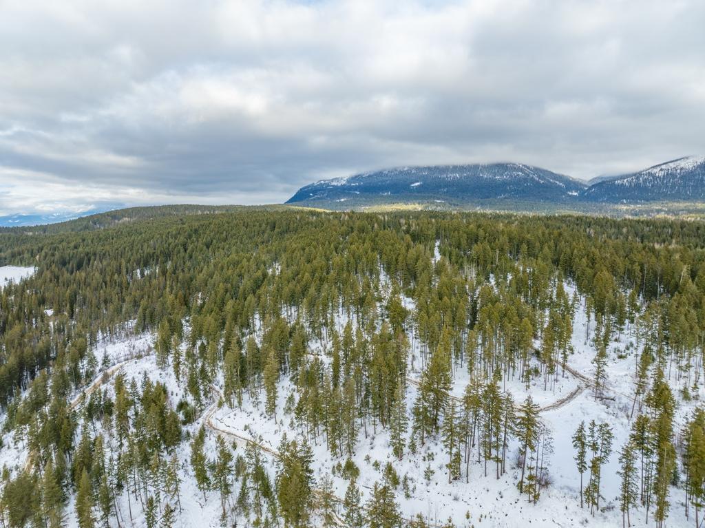 Ls-14 Ottoson Road, Golden, British Columbia  V0A 1H1 - Photo 8 - 2474986