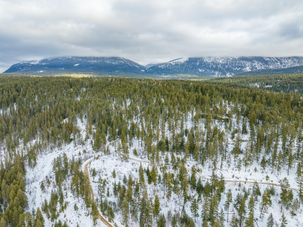 Ls-14 Ottoson Road, Golden, British Columbia  V0A 1H1 - Photo 9 - 2474986