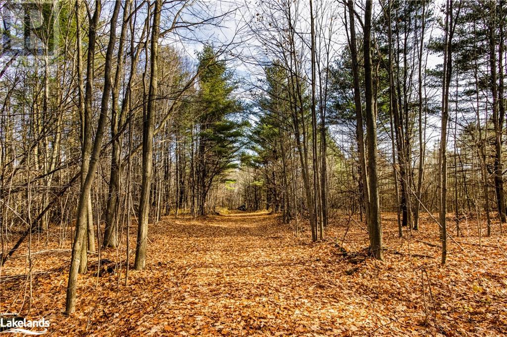 364 Champlain Road, Penetanguishene, Ontario  L9M 1S4 - Photo 18 - 40531333