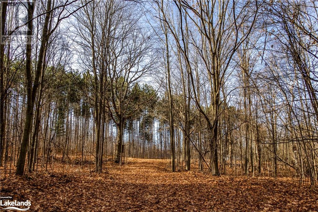 364 Champlain Road, Penetanguishene, Ontario  L9M 1S4 - Photo 17 - 40531333