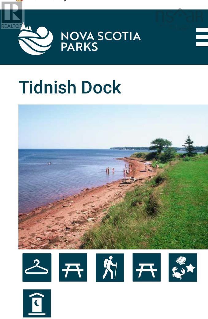 1596 Shinimicas Road, Northport, Nova Scotia  B0L 1E0 - Photo 44 - 202402879