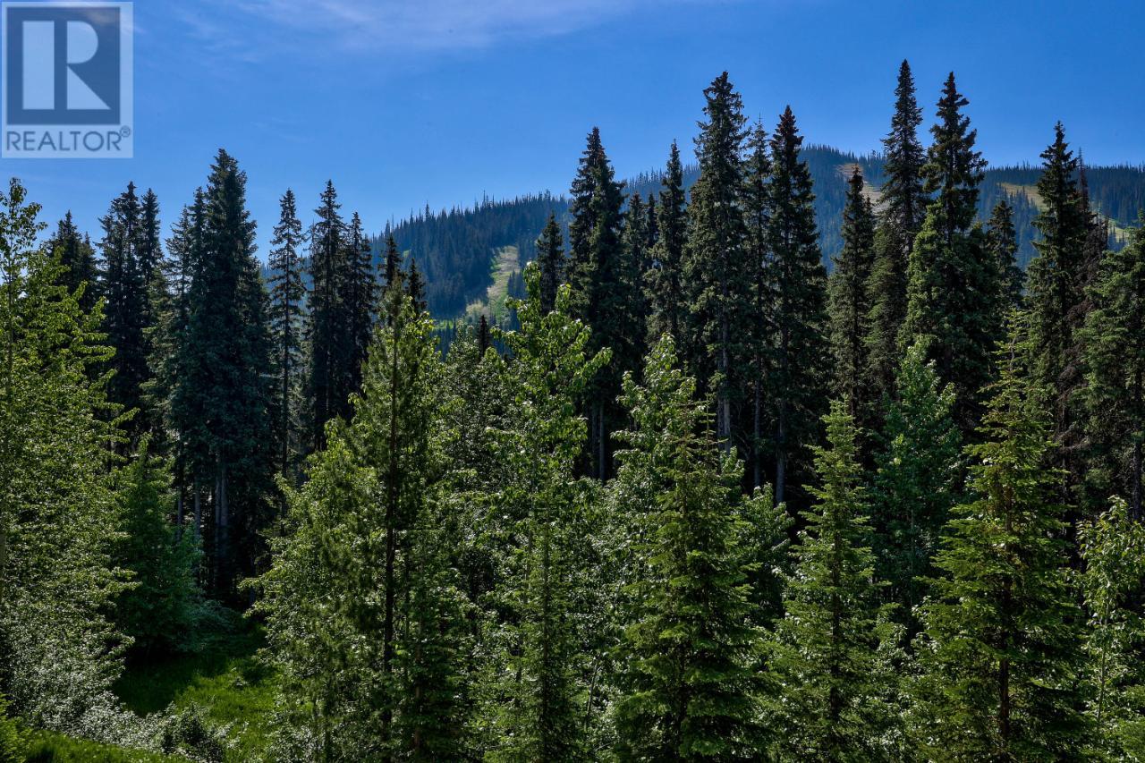 2214 Sunburst Drive, Sun Peaks, British Columbia  V0E 5N0 - Photo 53 - 176769