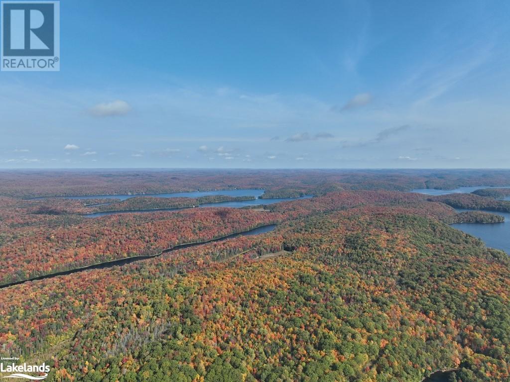 10689 Kawagama - Moorelands Bay - Wao, Dorset, Ontario  P0A 1E0 - Photo 11 - 40542424