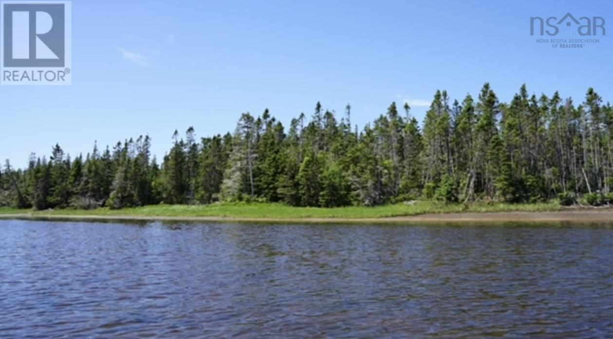 20-5 Lot 20-5 Richards Pond, Road, South River Bourgeois, Nova Scotia  B0E 2X0 - Photo 2 - 202402953