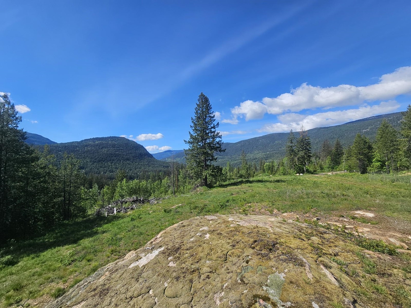 165 Suncrest Road, Pass Creek, British Columbia  V1N 4T5 - Photo 4 - 2474935