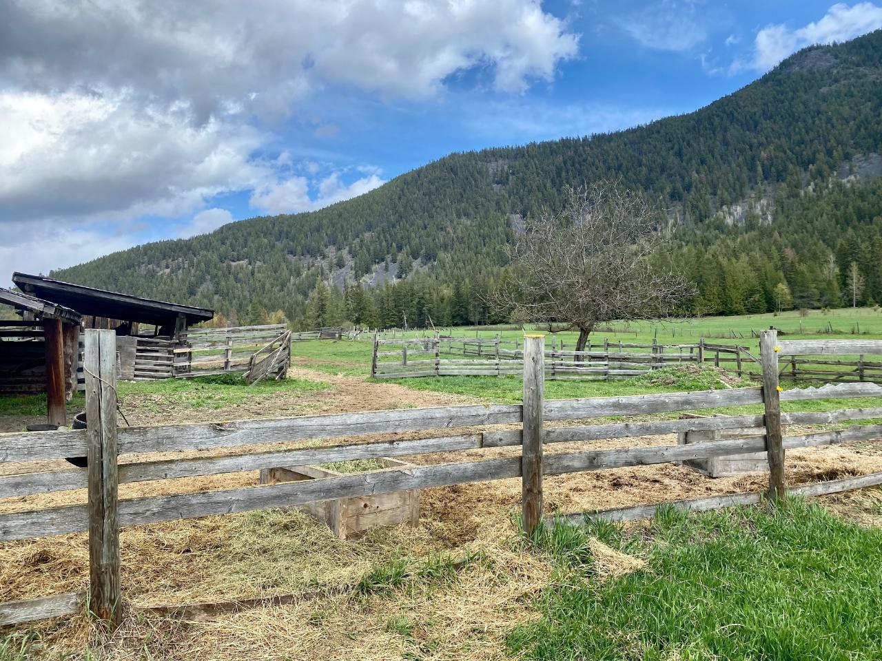 4512 48th Street, Canyon, British Columbia  V0B 1C1 - Photo 35 - 2475025