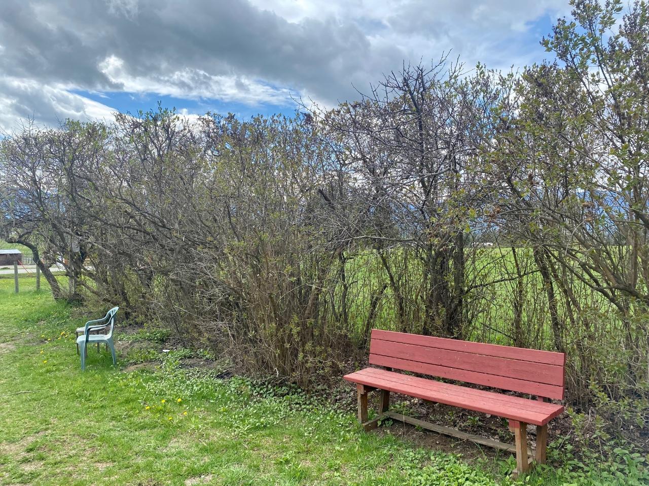 4512 48th Street, Canyon, British Columbia  V0B 1C1 - Photo 44 - 2475025