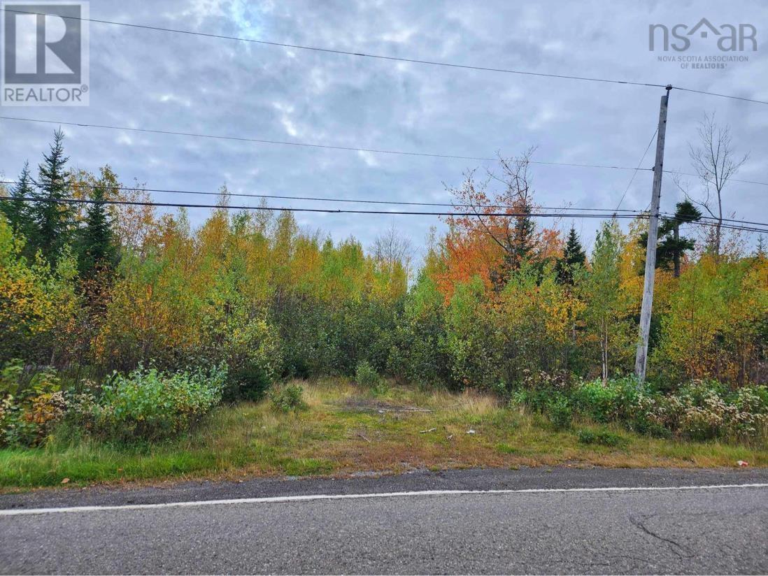 Lot 3b Highway 4, Telford, Nova Scotia  B0K 1G0 - Photo 6 - 202322550