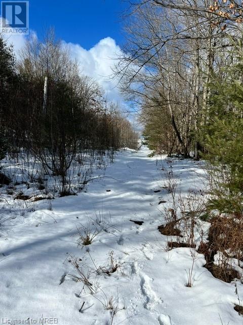 17 Kirkhill Drive, Bracebridge, Ontario  P1L 0A1 - Photo 4 - 40542717
