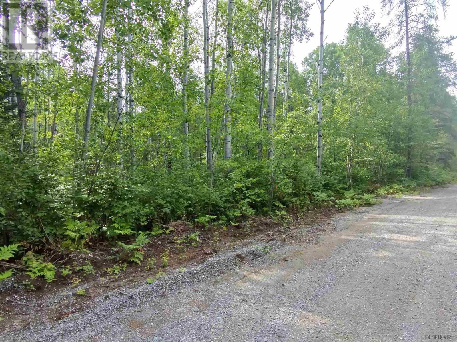 Part 13 Girl Guide Rd, Cobalt, Ontario  P0C 1C0 - Photo 2 - TM240303