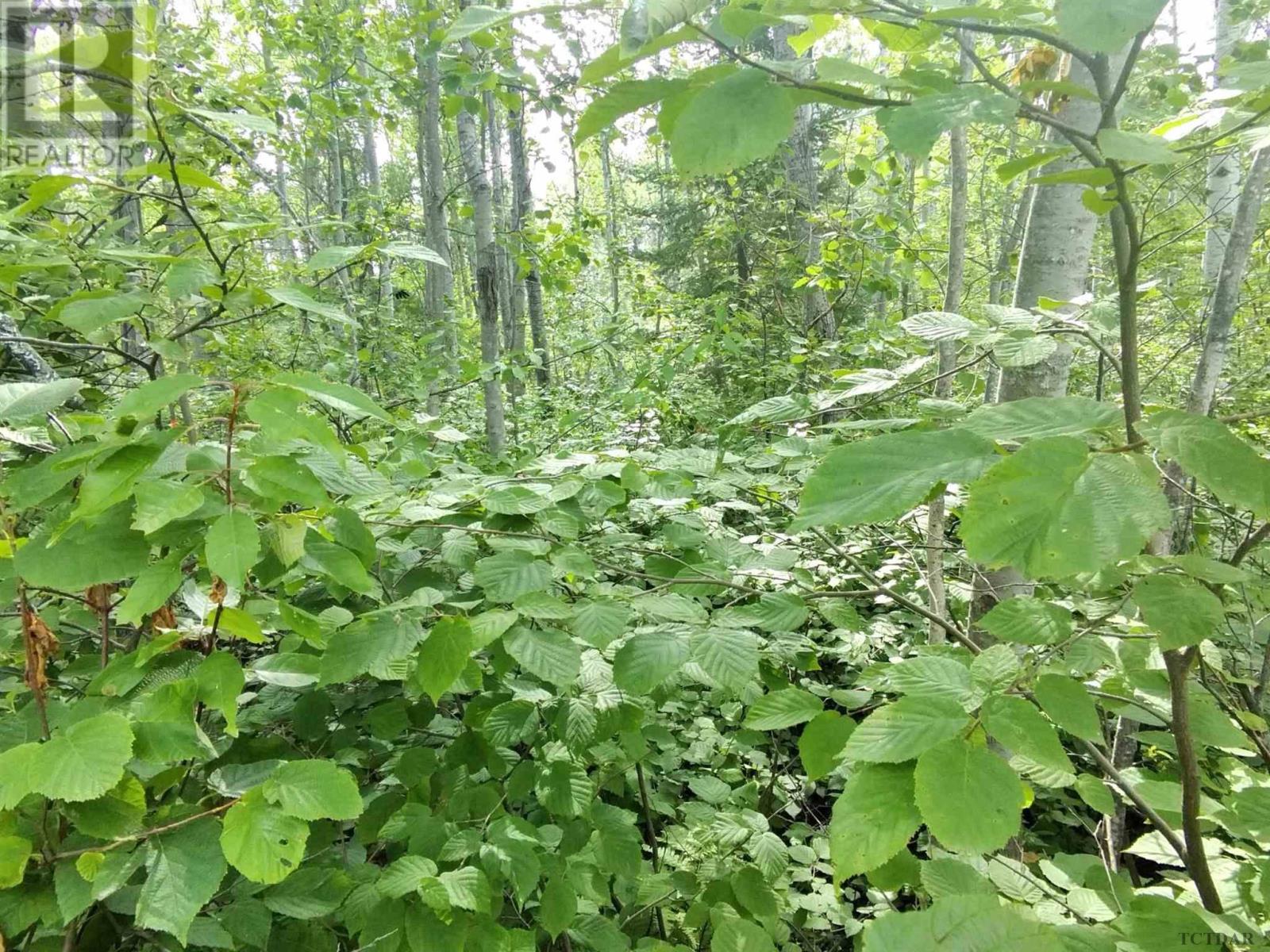 Part 13 Girl Guide Rd, Cobalt, Ontario  P0C 1C0 - Photo 3 - TM240303