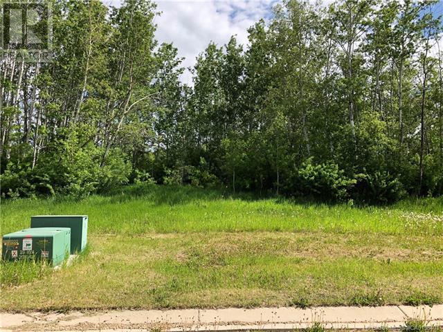 Lot 8 44 Avenueclose, Alix, Alberta  T0C 0B0 - Photo 2 - A2106672