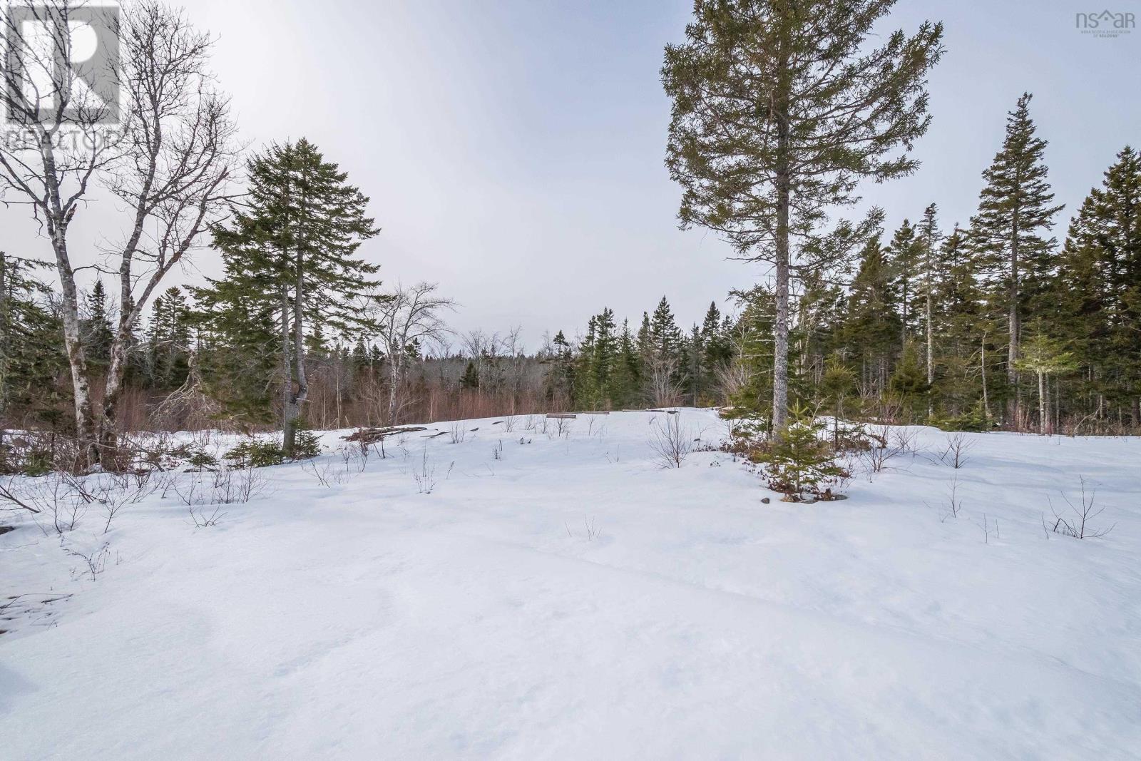 265 Morse Road, West Dalhousie, Nova Scotia  B0S 1C0 - Photo 44 - 202403065