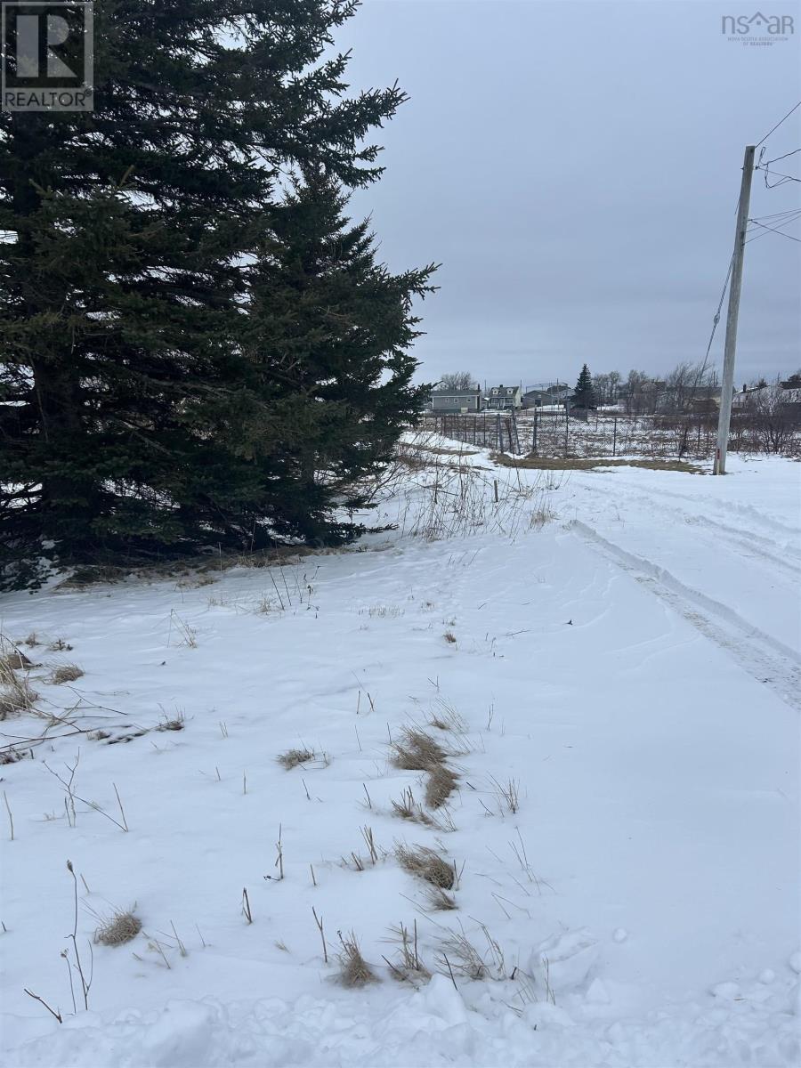 75 Belgium Street, Reserve Mines, Nova Scotia  B1E 1A4 - Photo 2 - 202403107