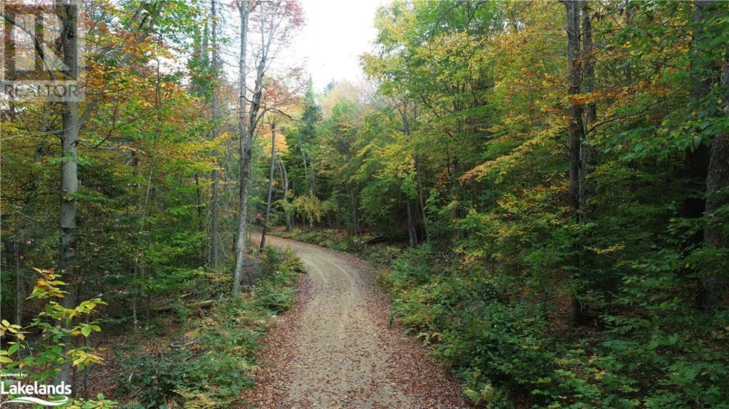 Lot 31-32 Con 10 Brunel, Huntsville, Ontario  P1H 2J6 - Photo 15 - 40542792