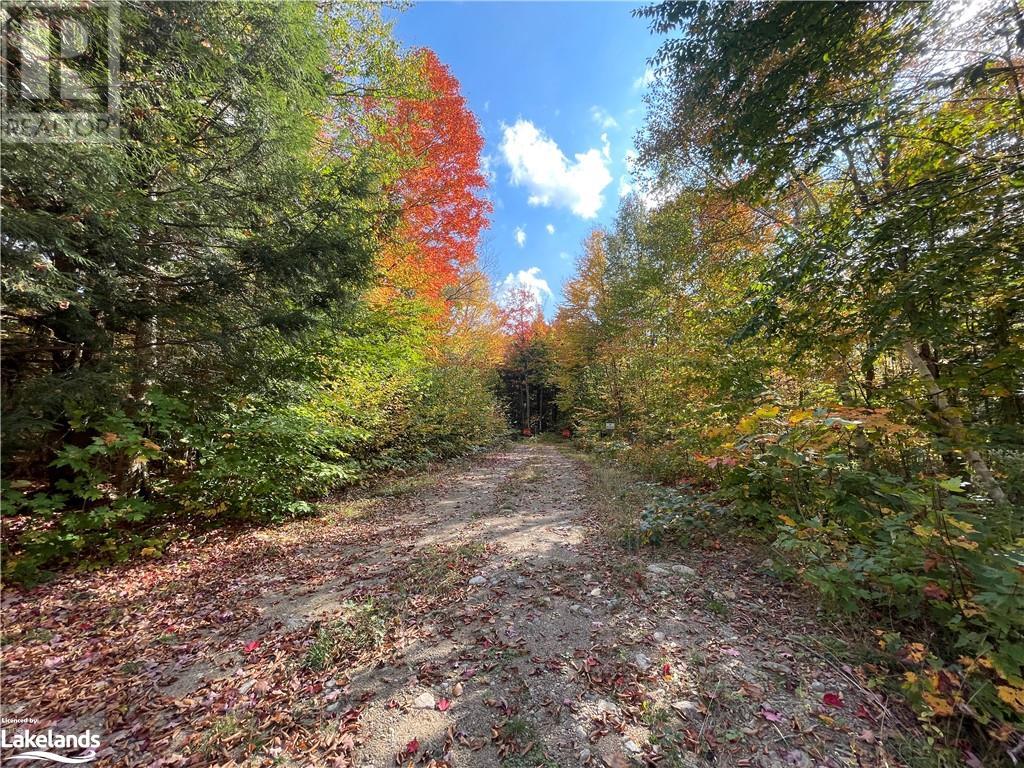 Lot 31-32 Con 10 Brunel, Huntsville, Ontario  P1H 2J6 - Photo 18 - 40542792