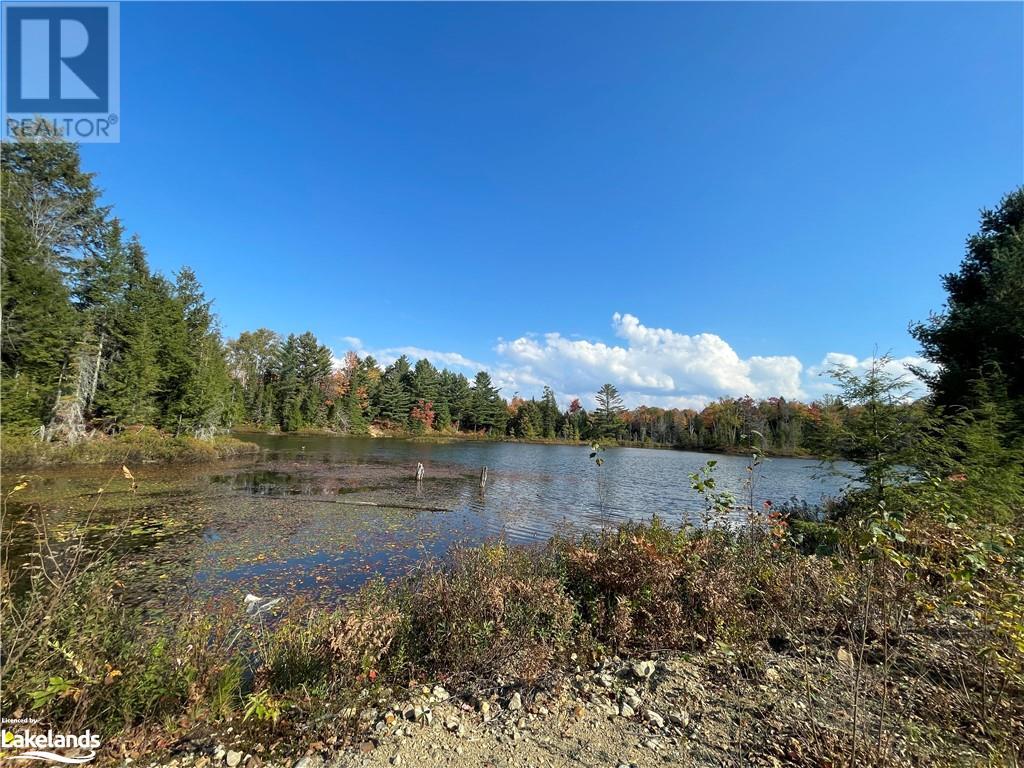 Lot 31-32 Con 10 Brunel, Huntsville, Ontario  P1H 2J6 - Photo 9 - 40542792