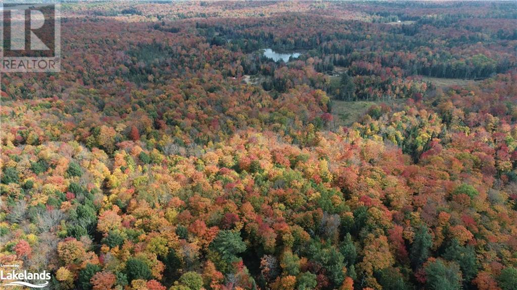 Lot 31-32 Con 10 Brunel, Huntsville, Ontario  P1H 2J6 - Photo 7 - 40542792