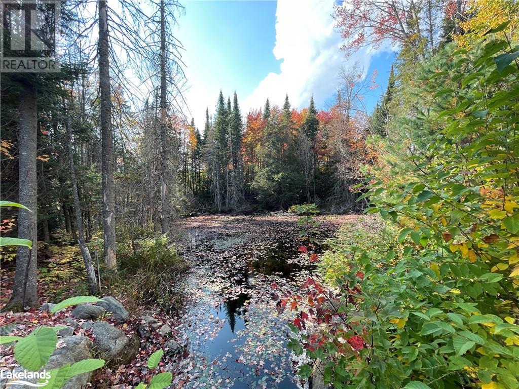 Lot 31-32 Con 10 Brunel, Huntsville, Ontario  P1H 2J6 - Photo 14 - 40542792