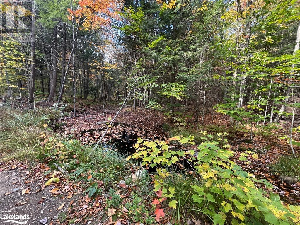 Lot 31-32 Con 10 Brunel, Huntsville, Ontario  P1H 2J6 - Photo 20 - 40542792