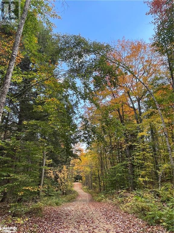 Lot 31-32 Con 10 Brunel, Huntsville, Ontario  P1H 2J6 - Photo 19 - 40542792