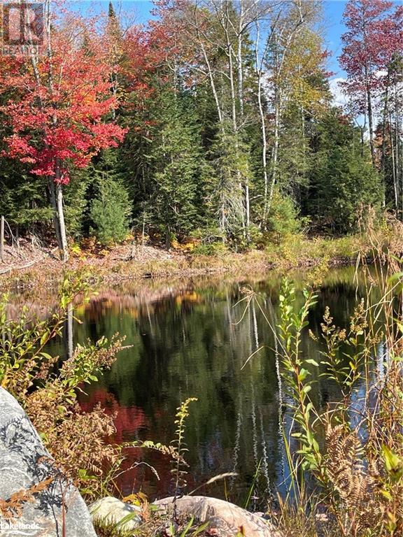 Lot 31-32 Con 10 Brunel, Huntsville, Ontario  P1H 2J6 - Photo 27 - 40542792
