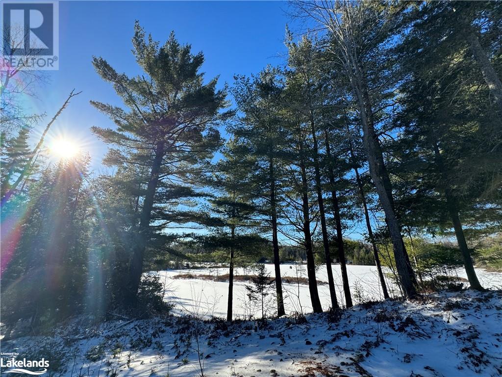 Lot 31-32 Con 10 Brunel, Huntsville, Ontario  P1H 2J6 - Photo 4 - 40542792