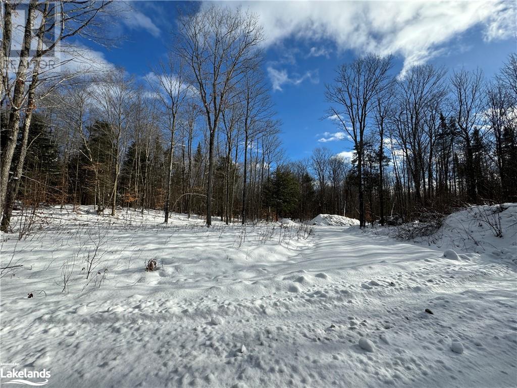 Lot 31-32 Con 10 Brunel, Huntsville, Ontario  P1H 2J6 - Photo 33 - 40542792