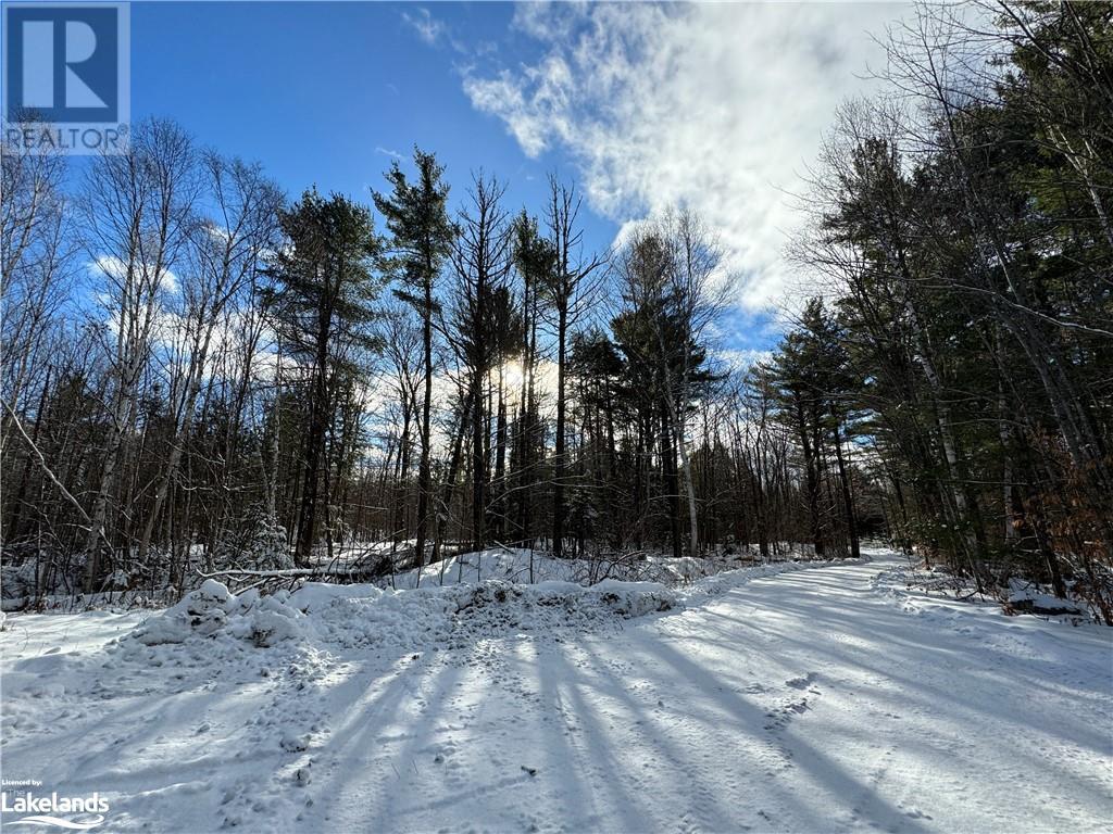 Lot 31-32 Con 10 Brunel, Huntsville, Ontario  P1H 2J6 - Photo 36 - 40542792